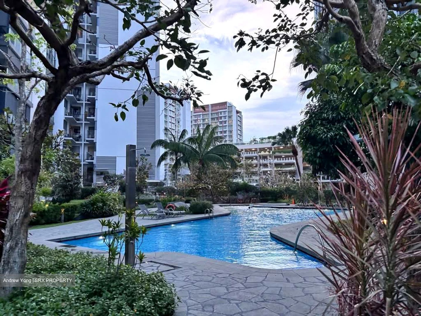 Bartley Ridge (D13), Condominium #563674901